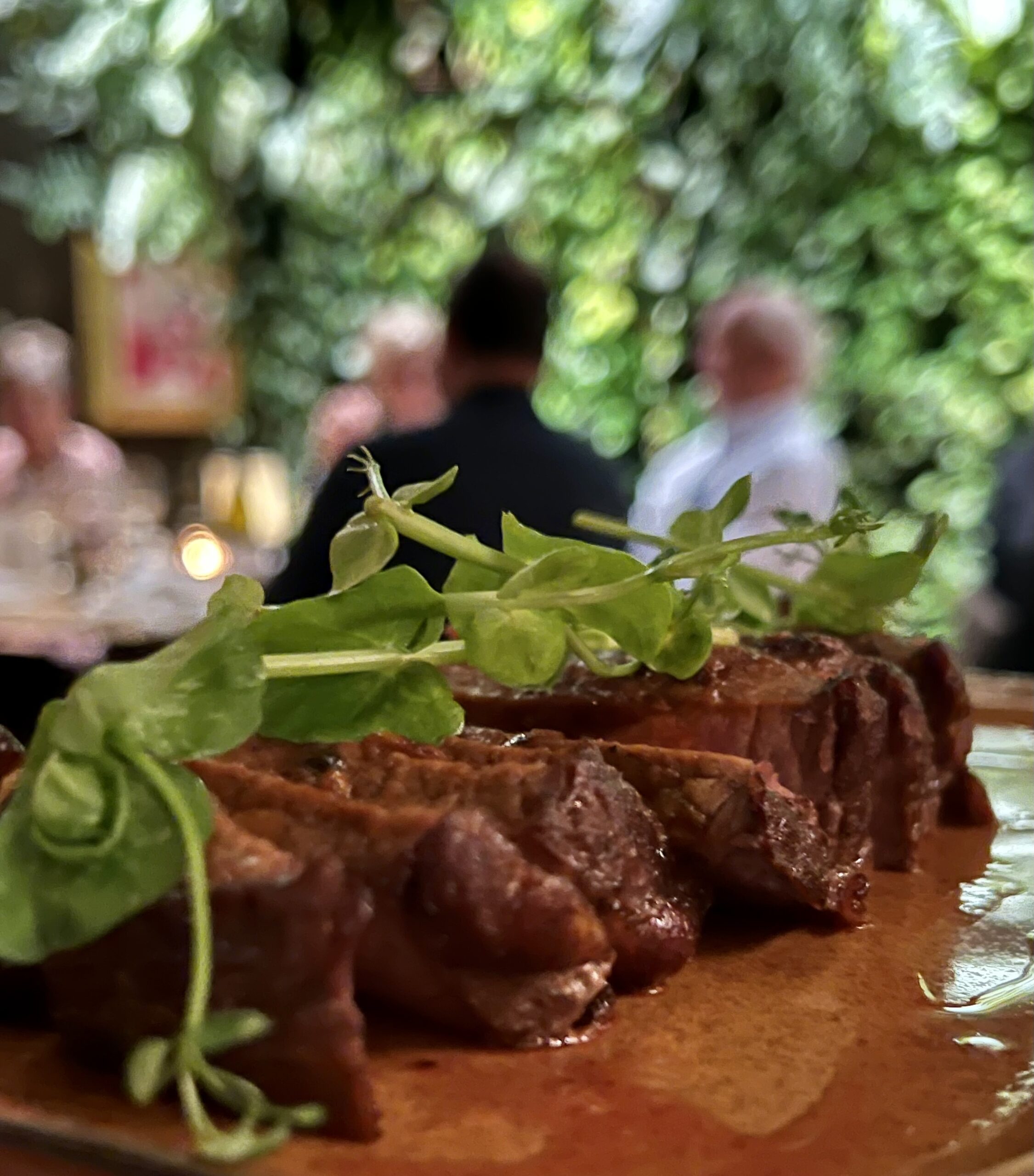 Green Garden (Hotel 1904)