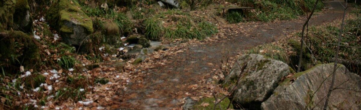 Borgernes Vei, foto Per Sindre Welle, Ålesund Kommune